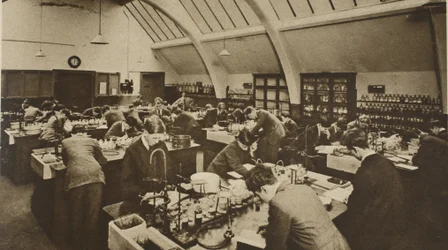 Studenten bei der Arbeit in einem Polytechnikum-Labor